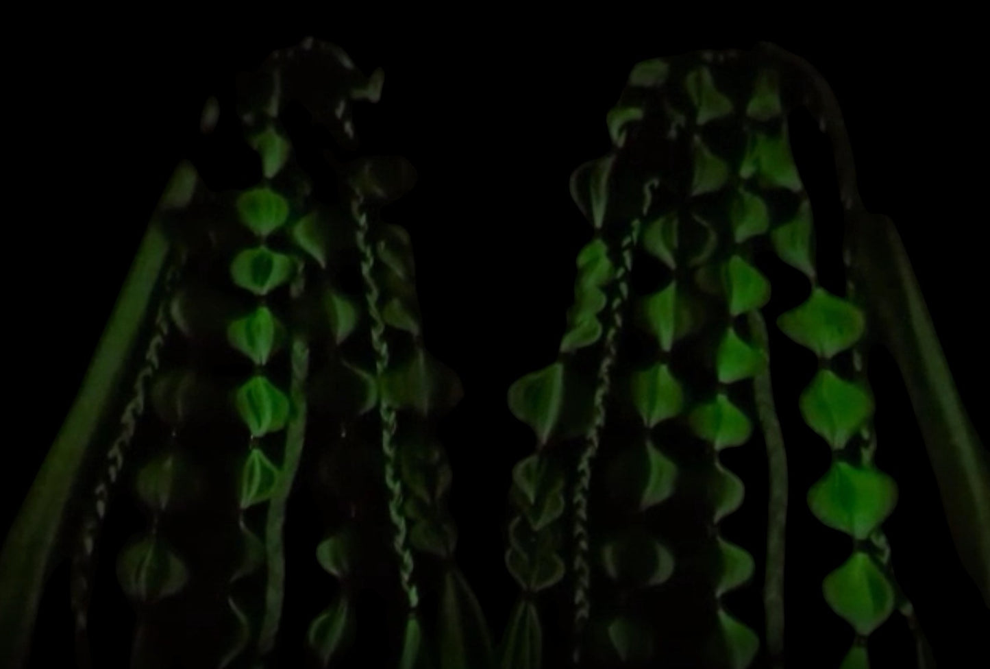 Green Nymph (GLOW) - Ponytail Festival Rave Braids