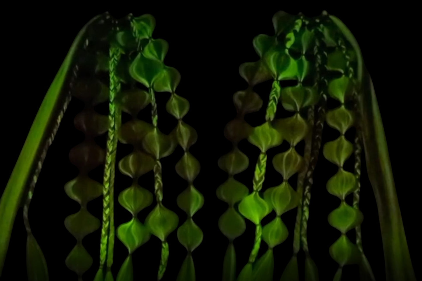 Malibu (GLOW) - Ponytail Festival Rave Braids