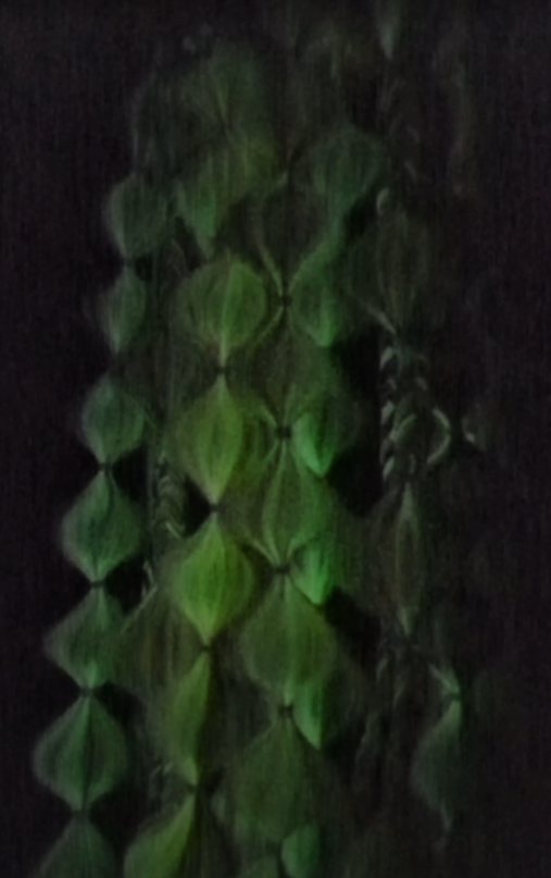 Monarch Butterfly (GLOW) - Ponytail Festival Rave Braids